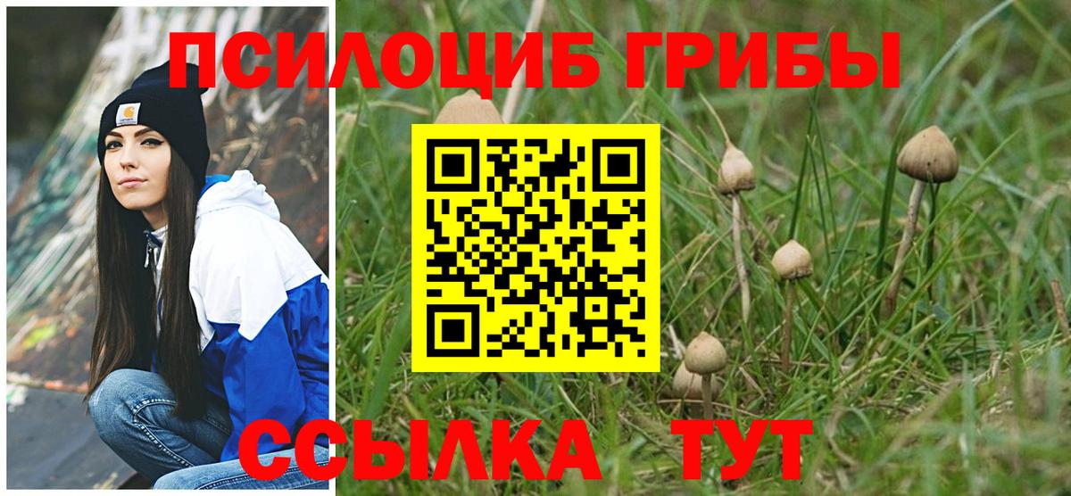 Элиста  Галлюциногенные грибы мицелий  Вход с VPN 