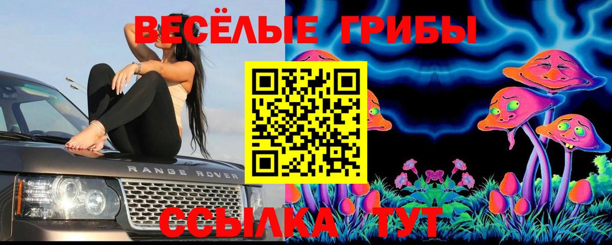 Псилоцибиновые грибы мицелий Элиста