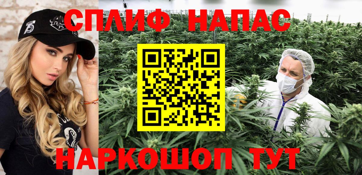 Шишки марихуана конопля Элиста